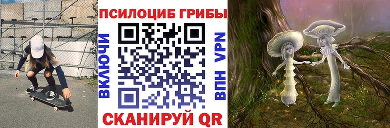 Псилоцибиновые грибы мухоморы  Купить где  Ростов 